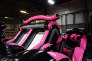Gallery | North Calgary | Flying Squirrel