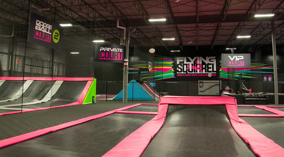 Gallery Hamilton Ontario Flying Squirrel