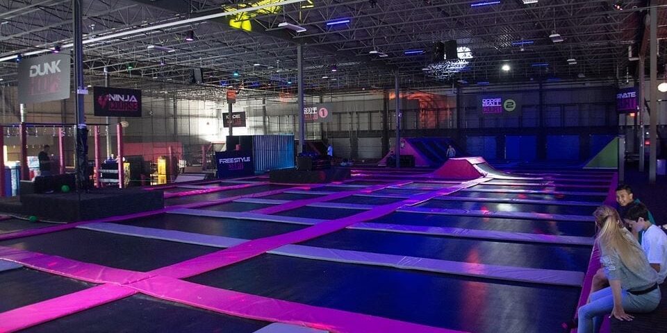 flying-squirrel-photos-london