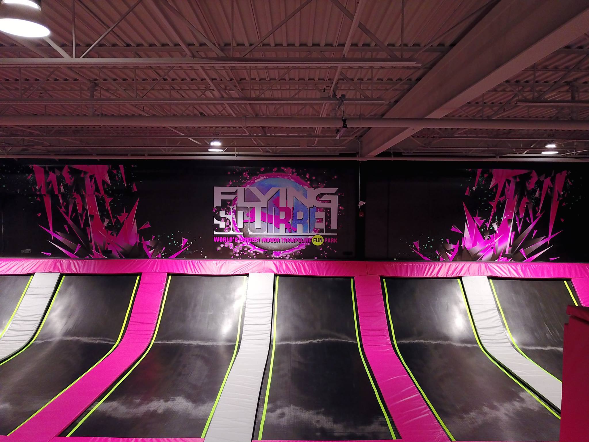 Gallery Ottawa Ontario Flying Squirrel