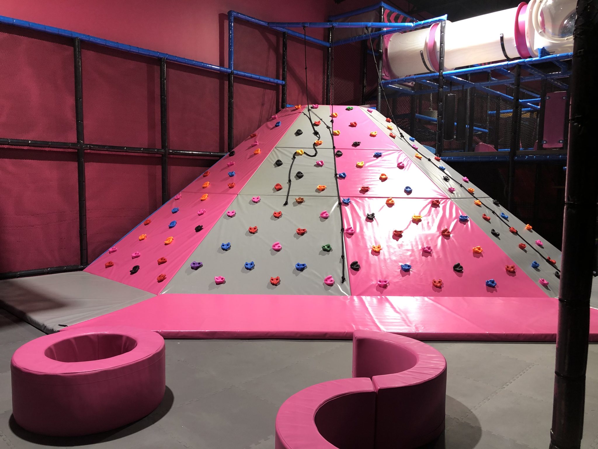 Gallery Ottawa Ontario Flying Squirrel