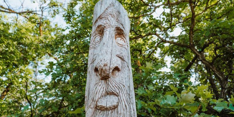 fun-things-to-do-for-adults-winnipeg